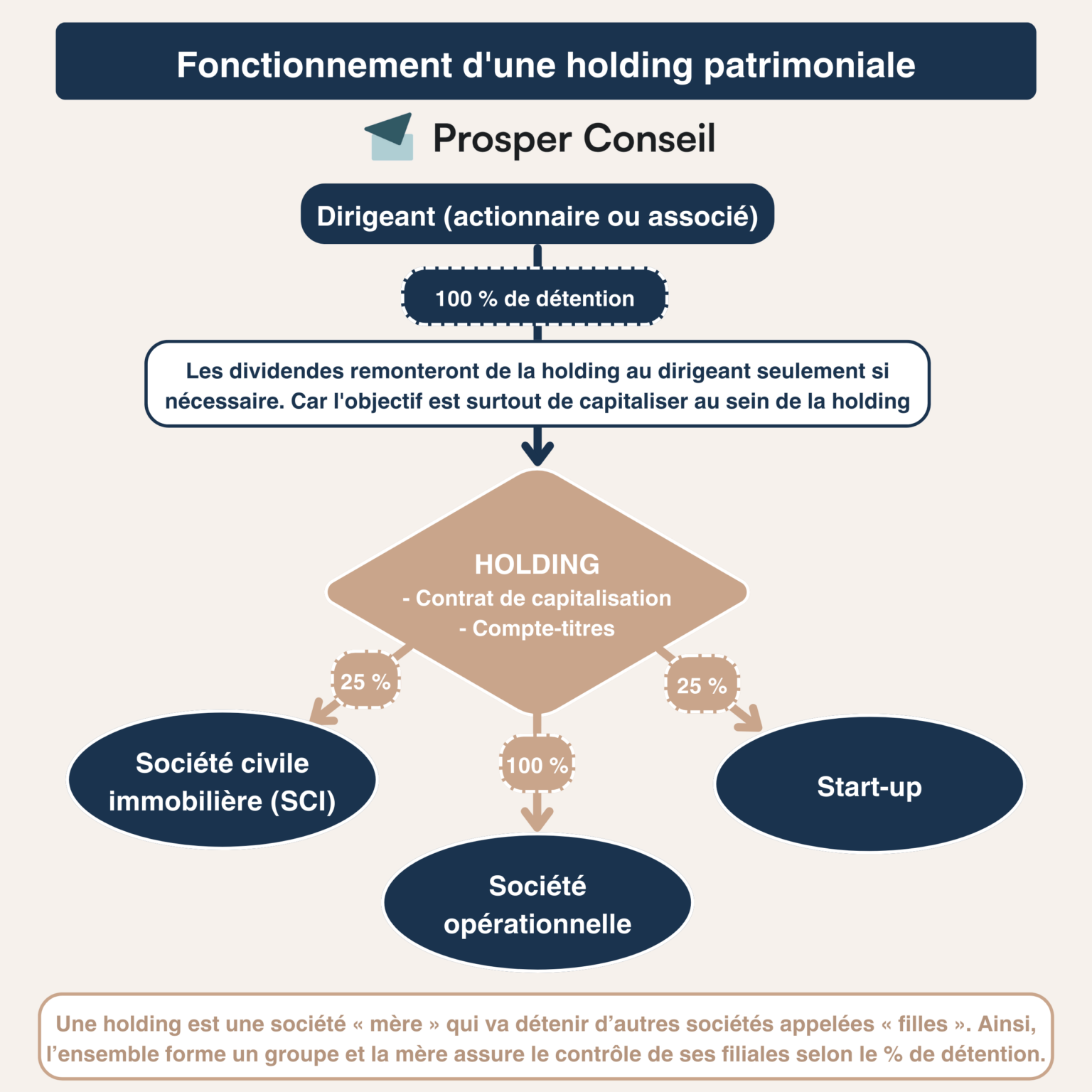 Holding patrimoniale : tout savoir pour organiser son patrimoine