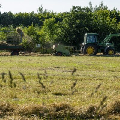 Avis Girardin industriel : rendement, risques, exemple